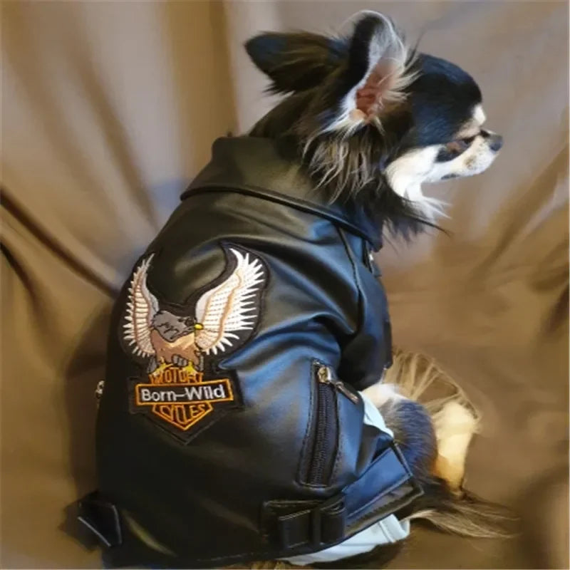 Eagle Pattern Dog Leather Jacket