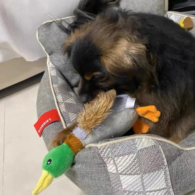 Plush Duck Squeaky Dog Toy