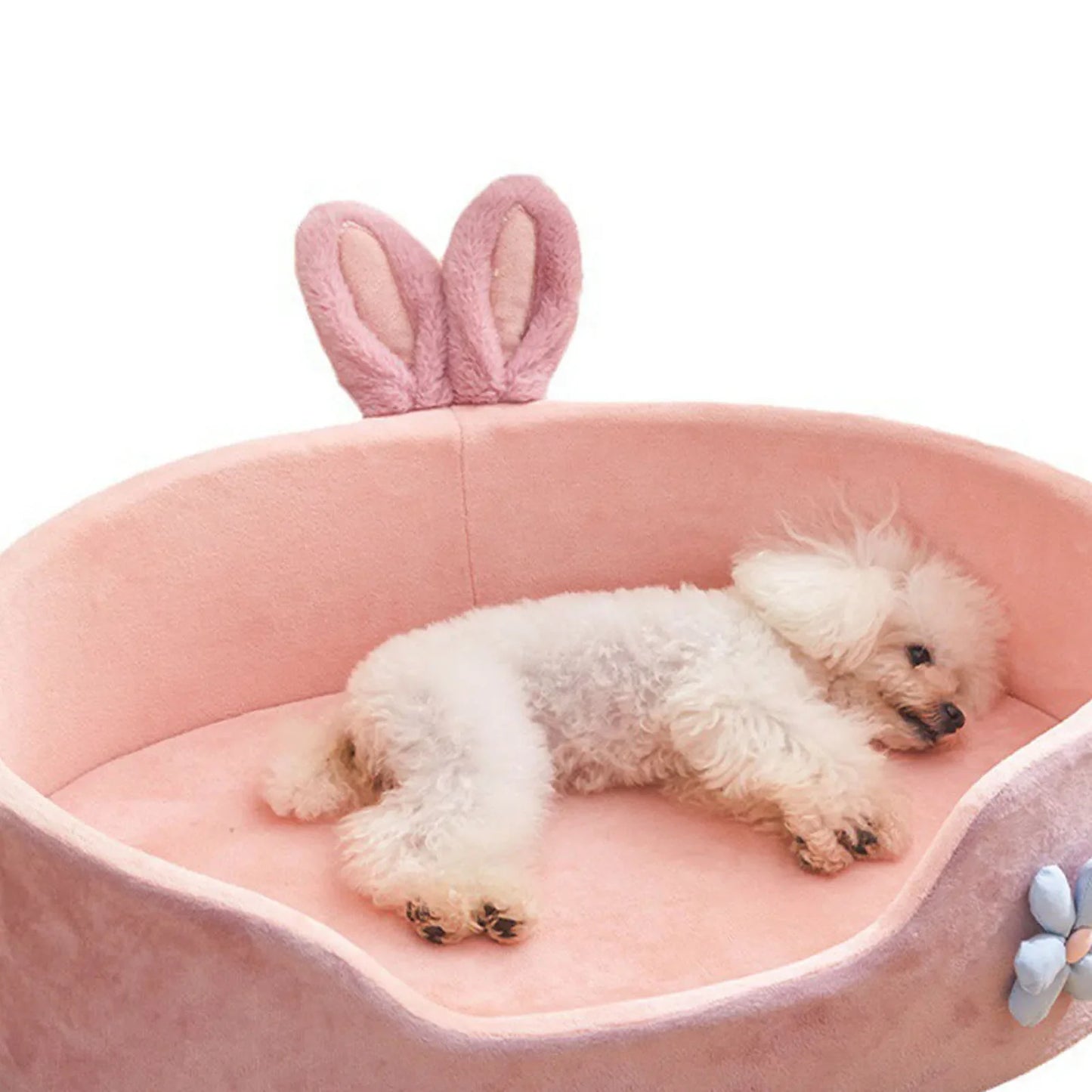 Detachable Pet Bed for Dogs & Cats