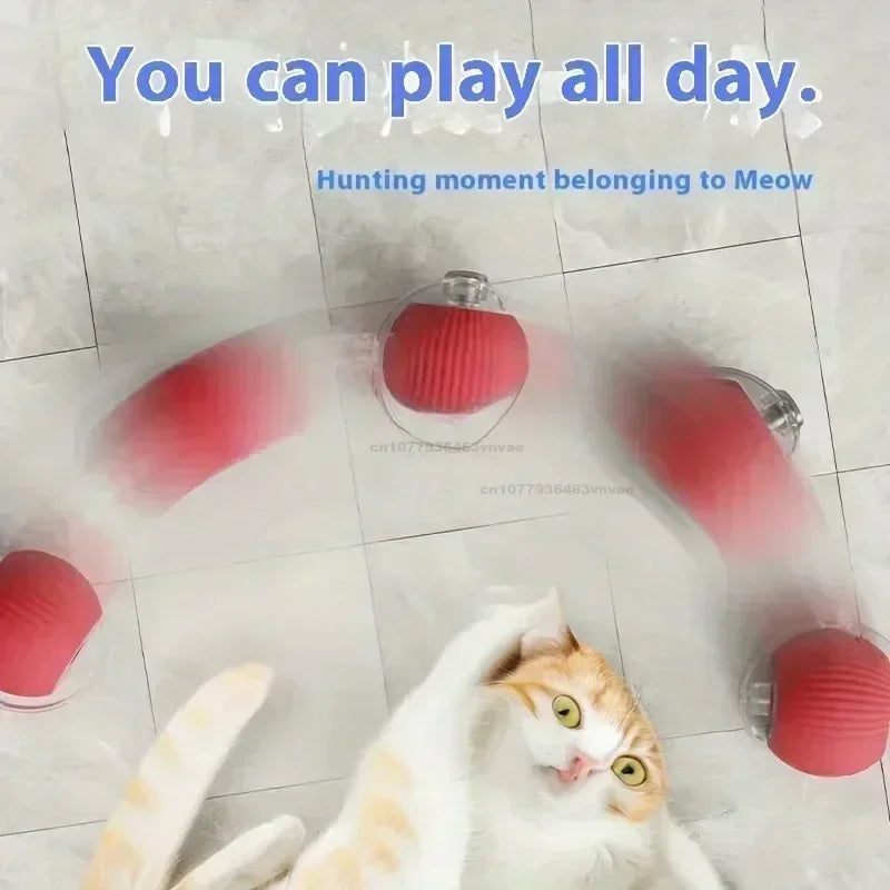 Interactive Rolling Cat Toy Ball