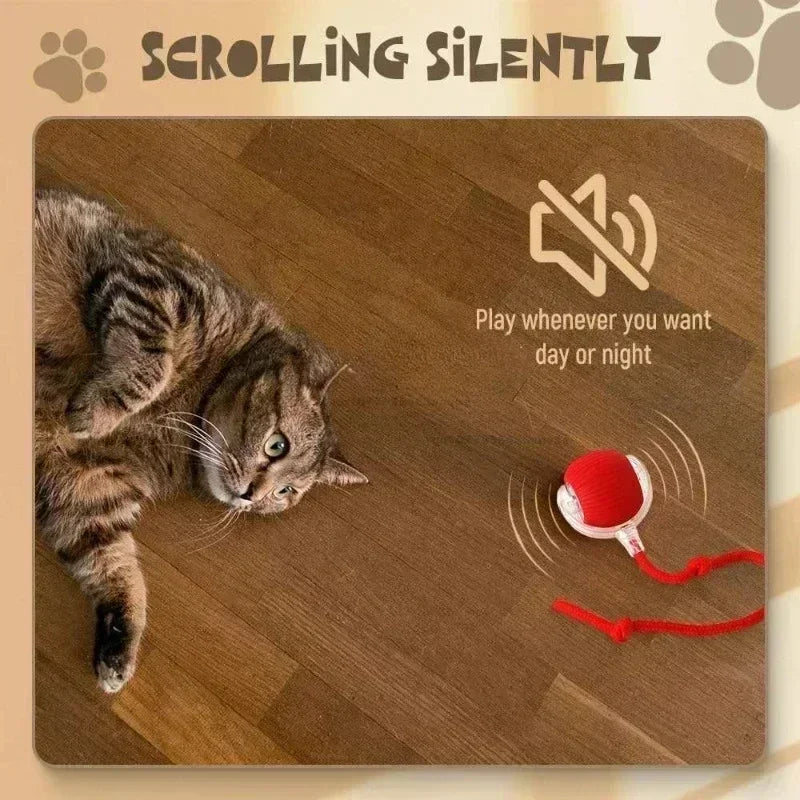 Interactive Rolling Cat Toy Ball