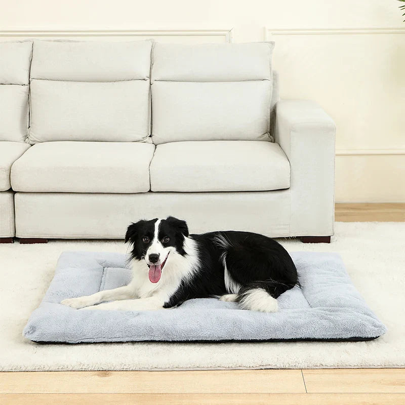 Soft Dog Bed & Pet Basket