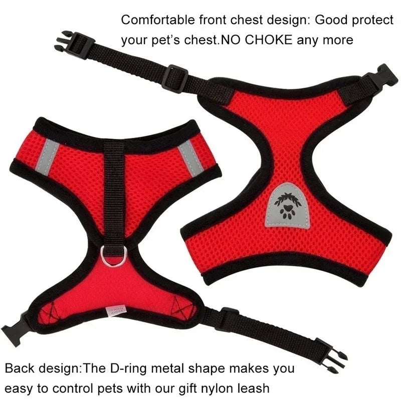 Adjustable Cat Harness for Walking