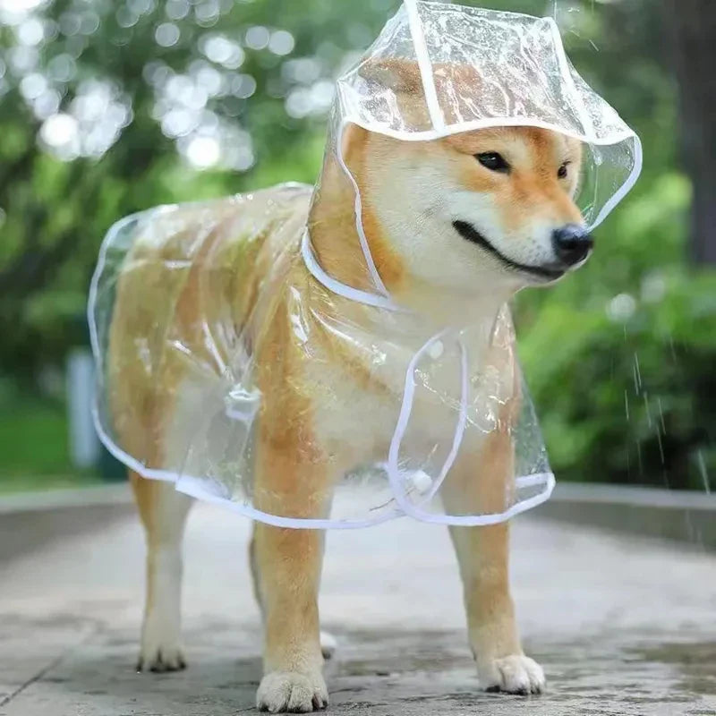 Transparent Hooded Dog Raincoat