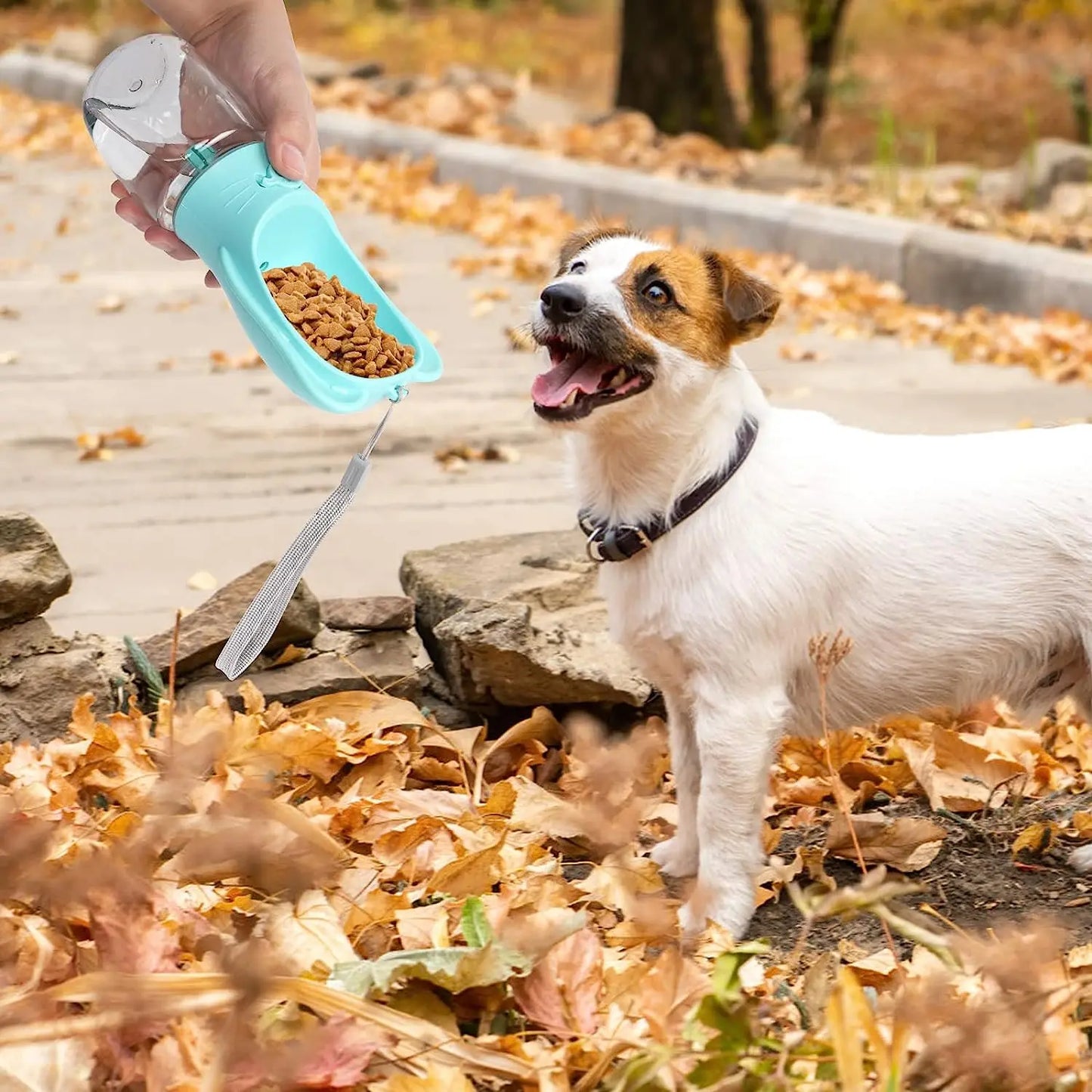 Dog Water Bottle with Food Container