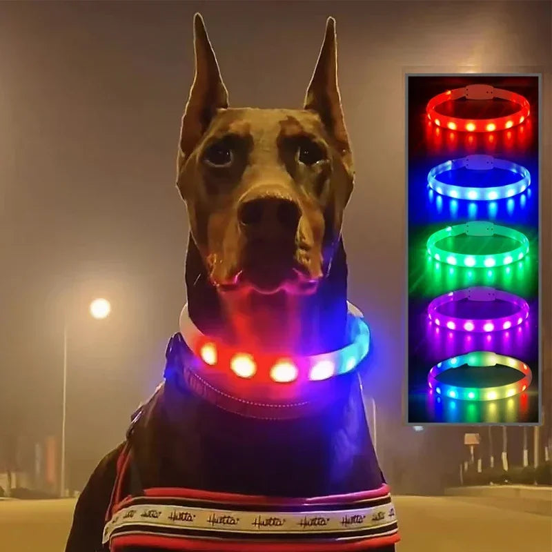 USB Rechargeable LED Dog Collar