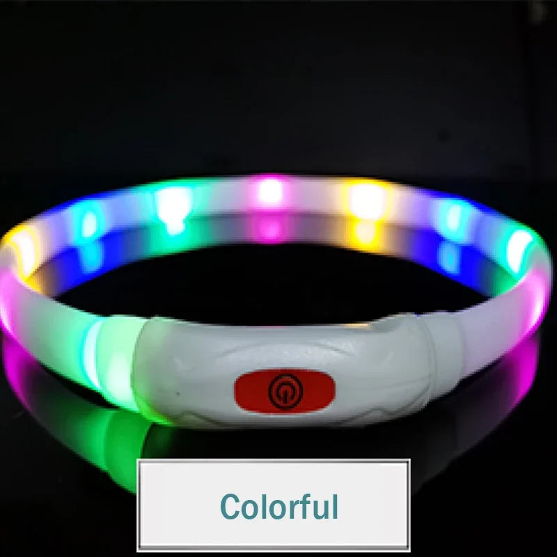USB Rechargeable LED Dog Collar