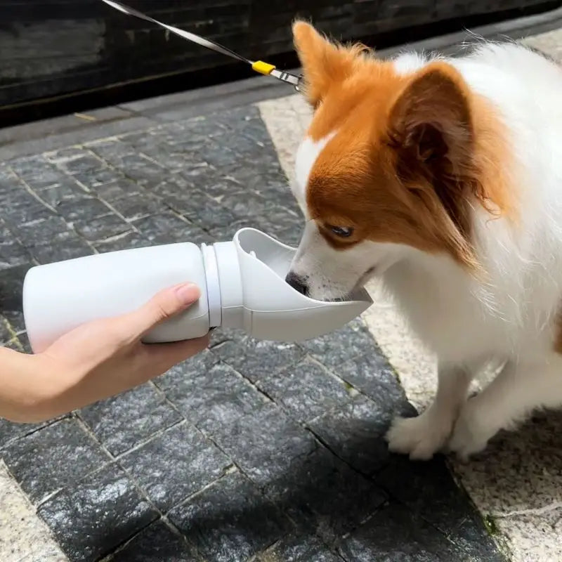 550ml Dog Travel Water Bottle