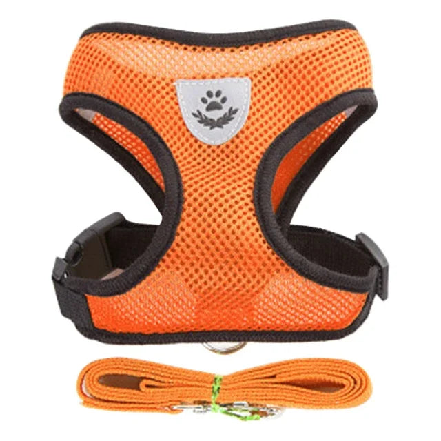 Adjustable Cat Harness for Walking