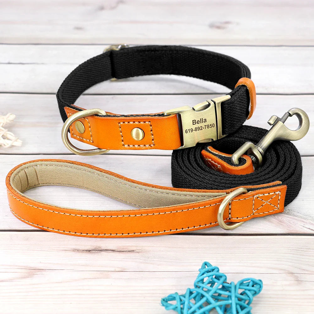 Custom Nylon Dog Collar & Leash
