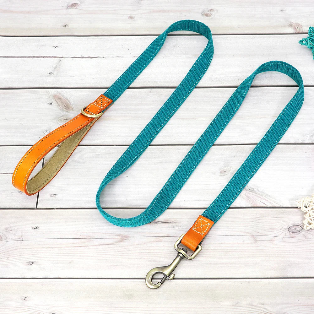 Custom Nylon Dog Collar & Leash