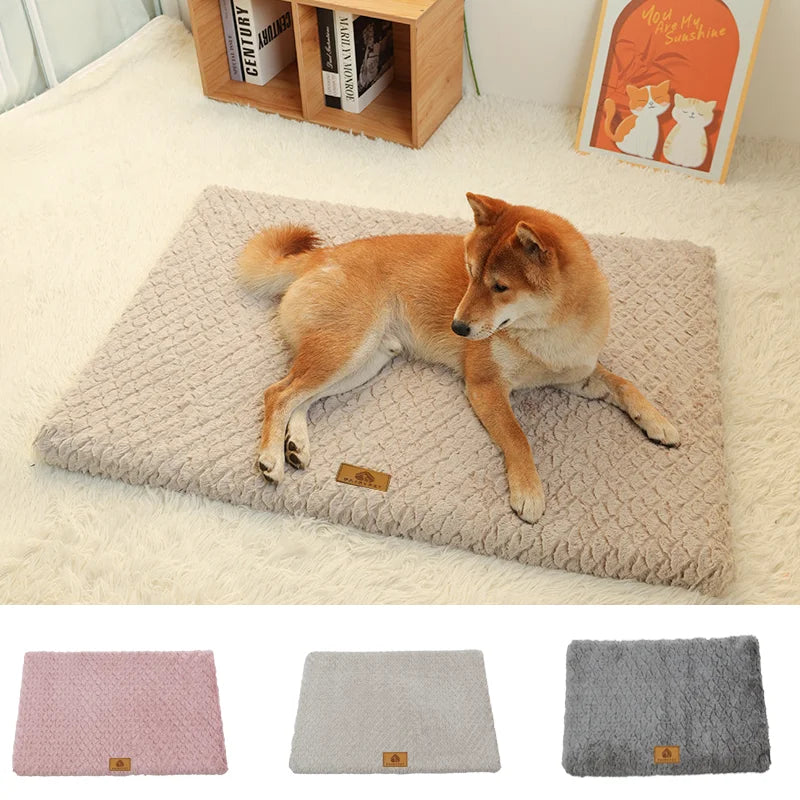 Memory Foam Dog Bed
