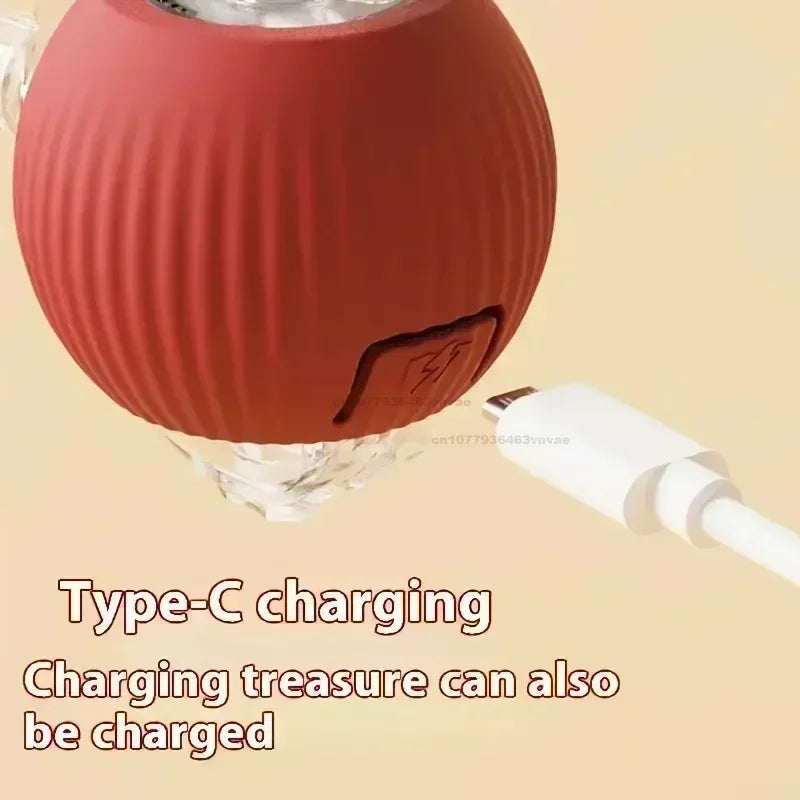 Interactive Rolling Cat Toy Ball