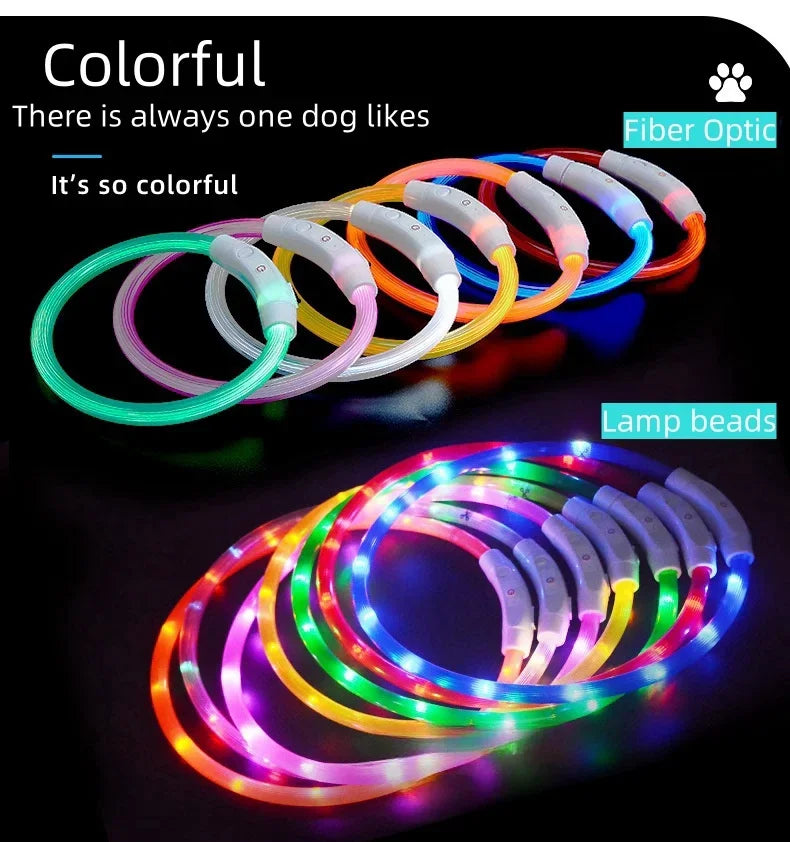 LED Dog Collar, USB Rechargeable