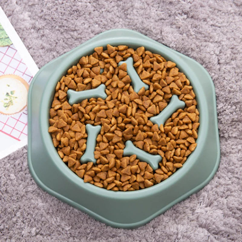 Anti-Choking Dog Slow Feeder Bowl