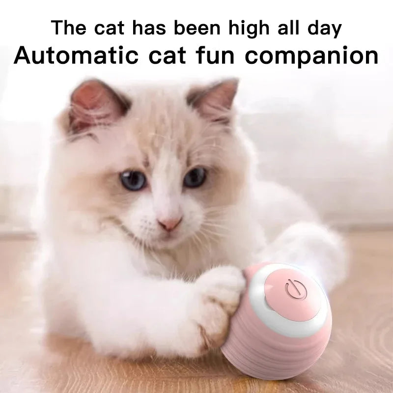 Self-Moving Cat Ball Toy