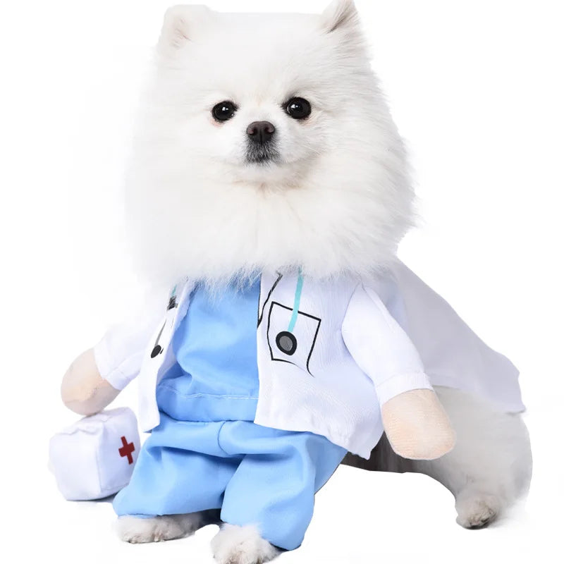 Dagger Pet Costume cat and dog