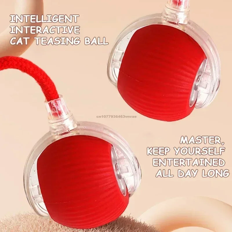 Interactive Rolling Cat Toy Ball