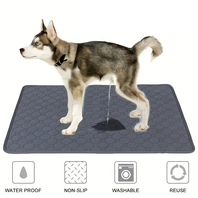 Dog Pee Pad & Training Mat