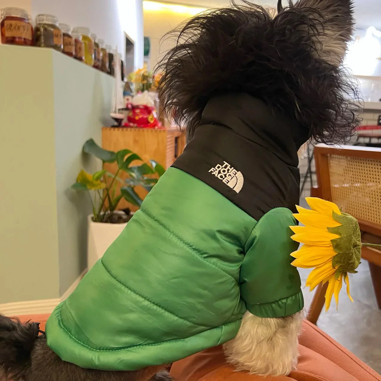Winter Dog Down Jacket Vest