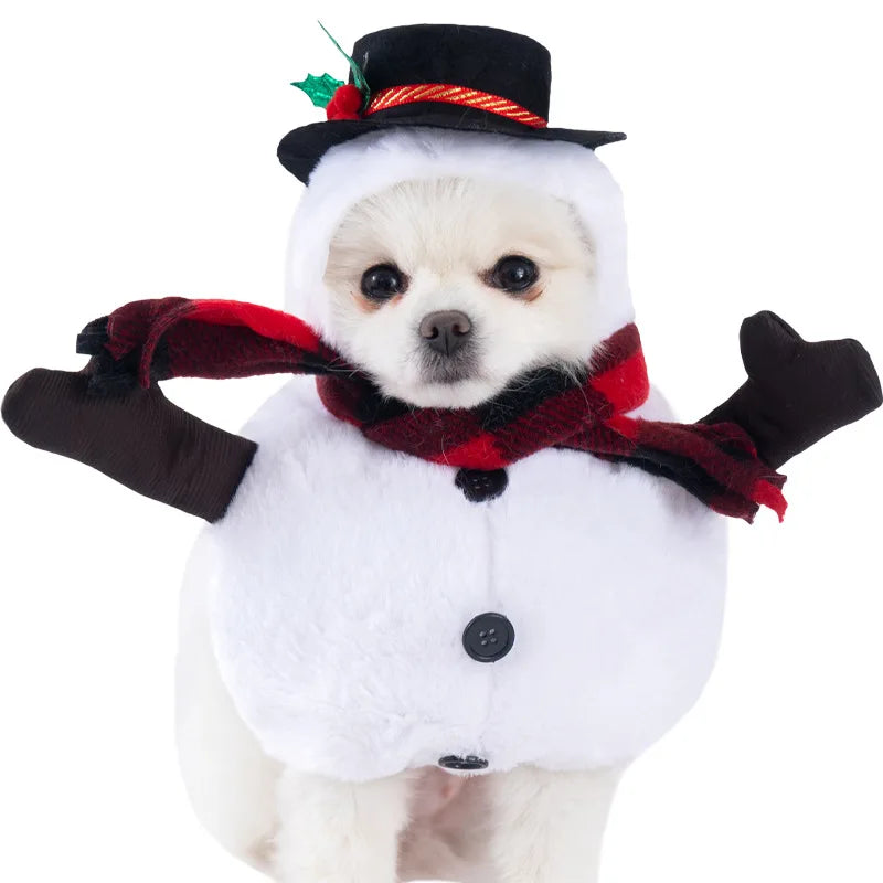 Dagger Pet Costume cat and dog