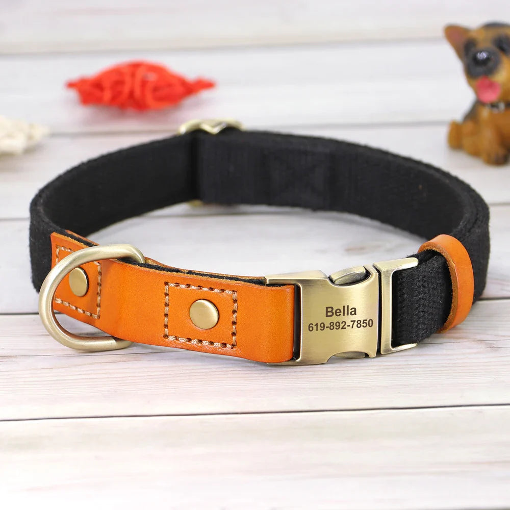 Custom Nylon Dog Collar & Leash