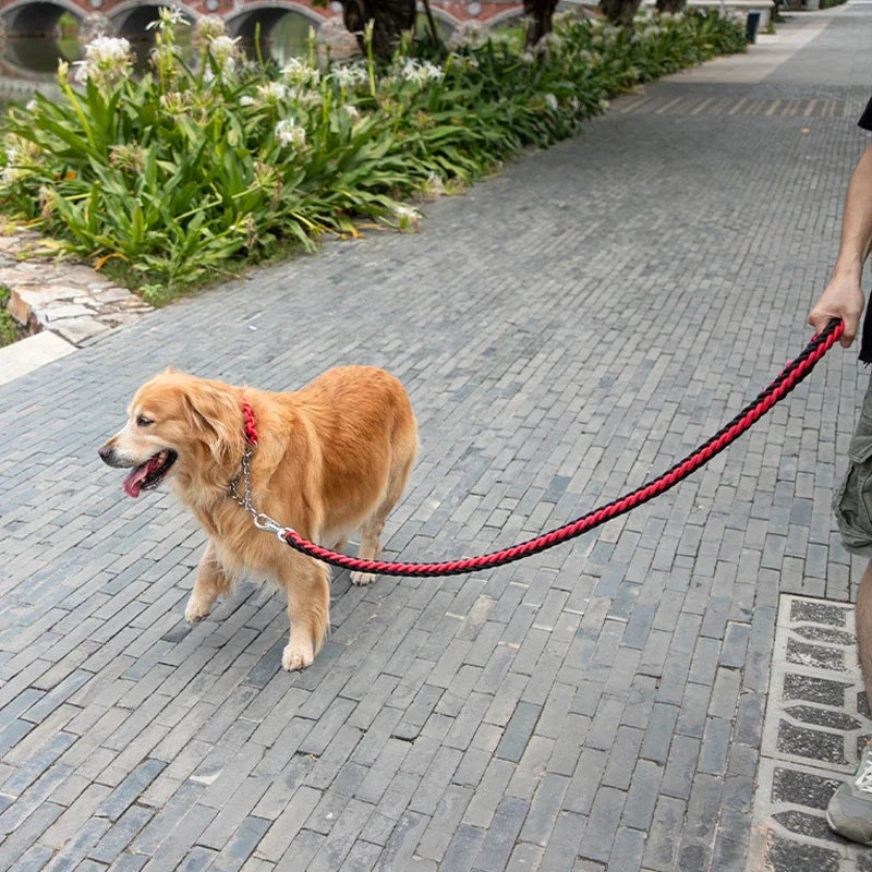 Heavy-Duty Nylon Dog Leash