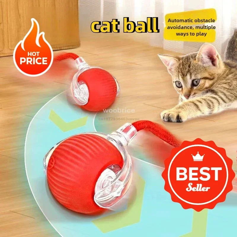 Interactive Rolling Cat Toy Ball