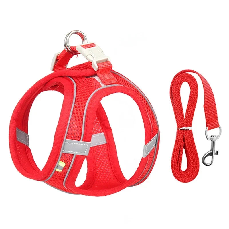 Dog Harness Set