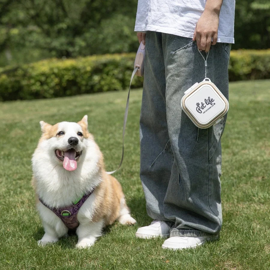 Collapsible Dog Travel Bowl