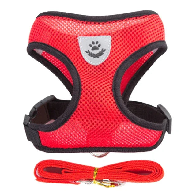Adjustable Cat Harness for Walking