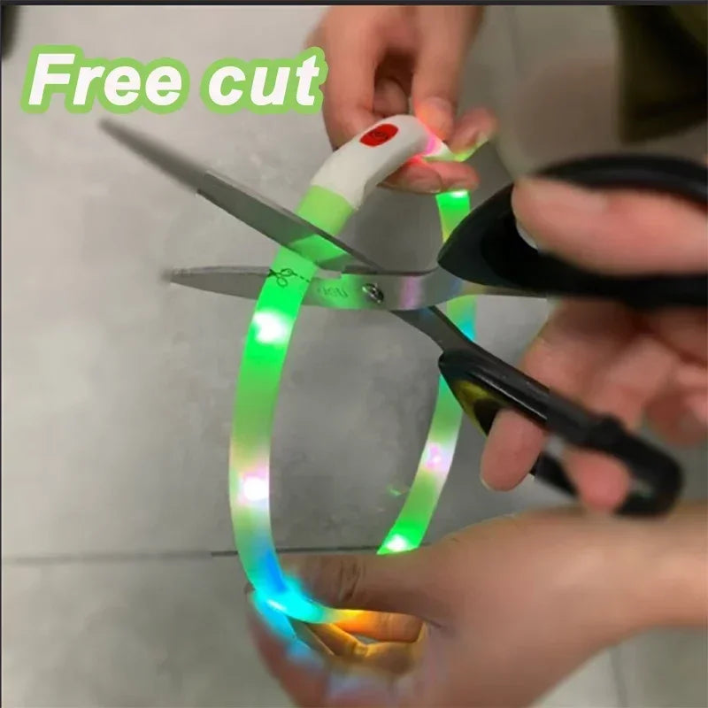 USB Rechargeable LED Dog Collar