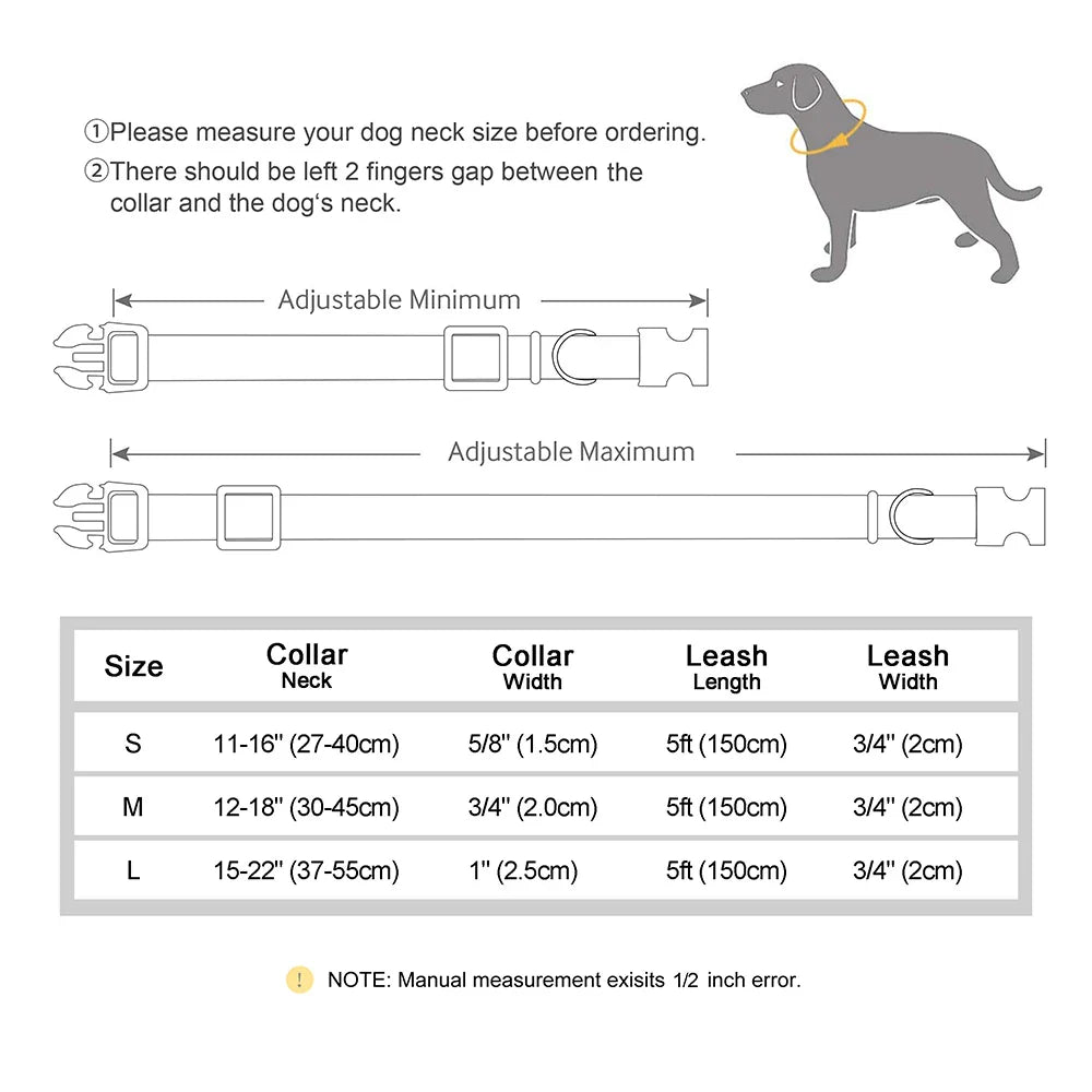 Custom Nylon Dog Collar & Leash