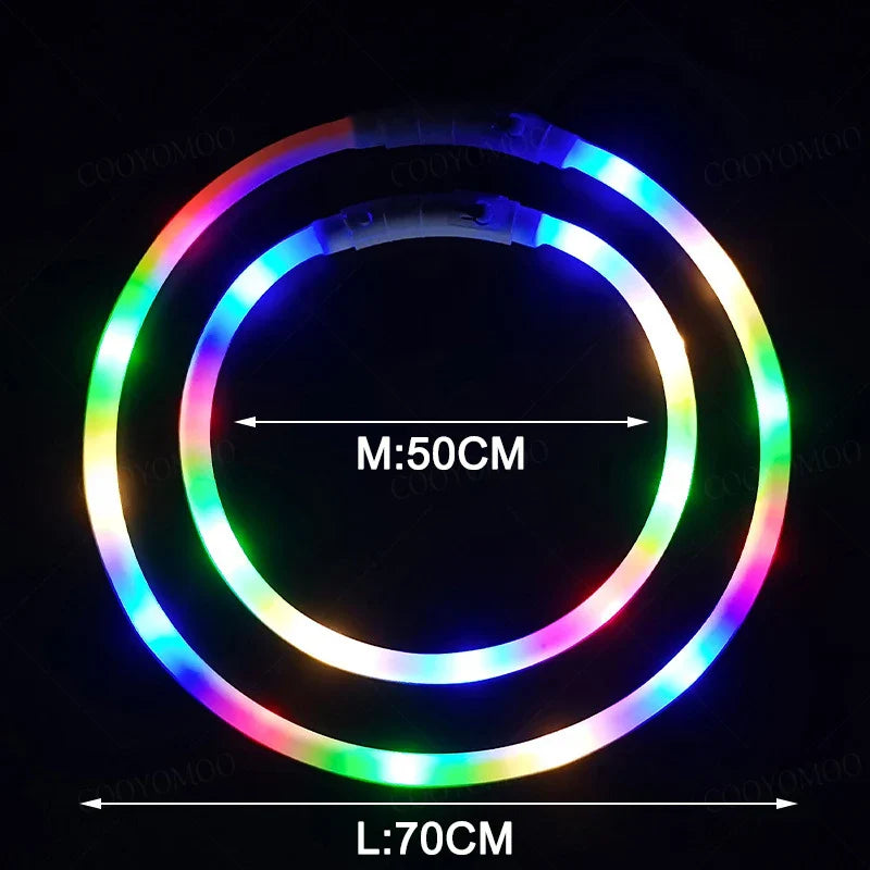 LED Dog Collar, USB Rechargeable