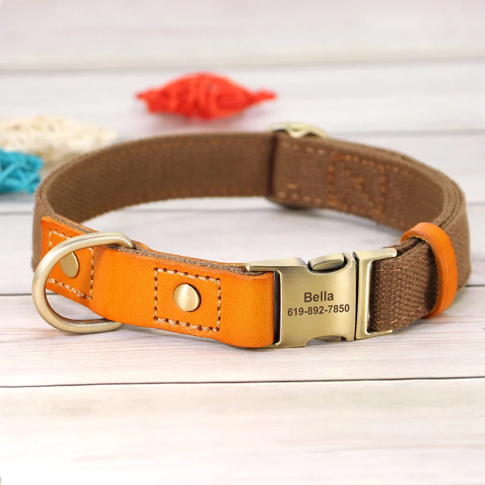 Custom Nylon Dog Collar & Leash
