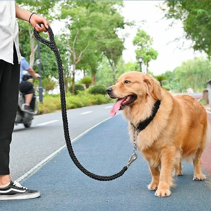 Heavy-Duty Nylon Dog Leash