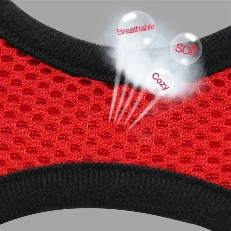 Adjustable Cat Harness for Walking