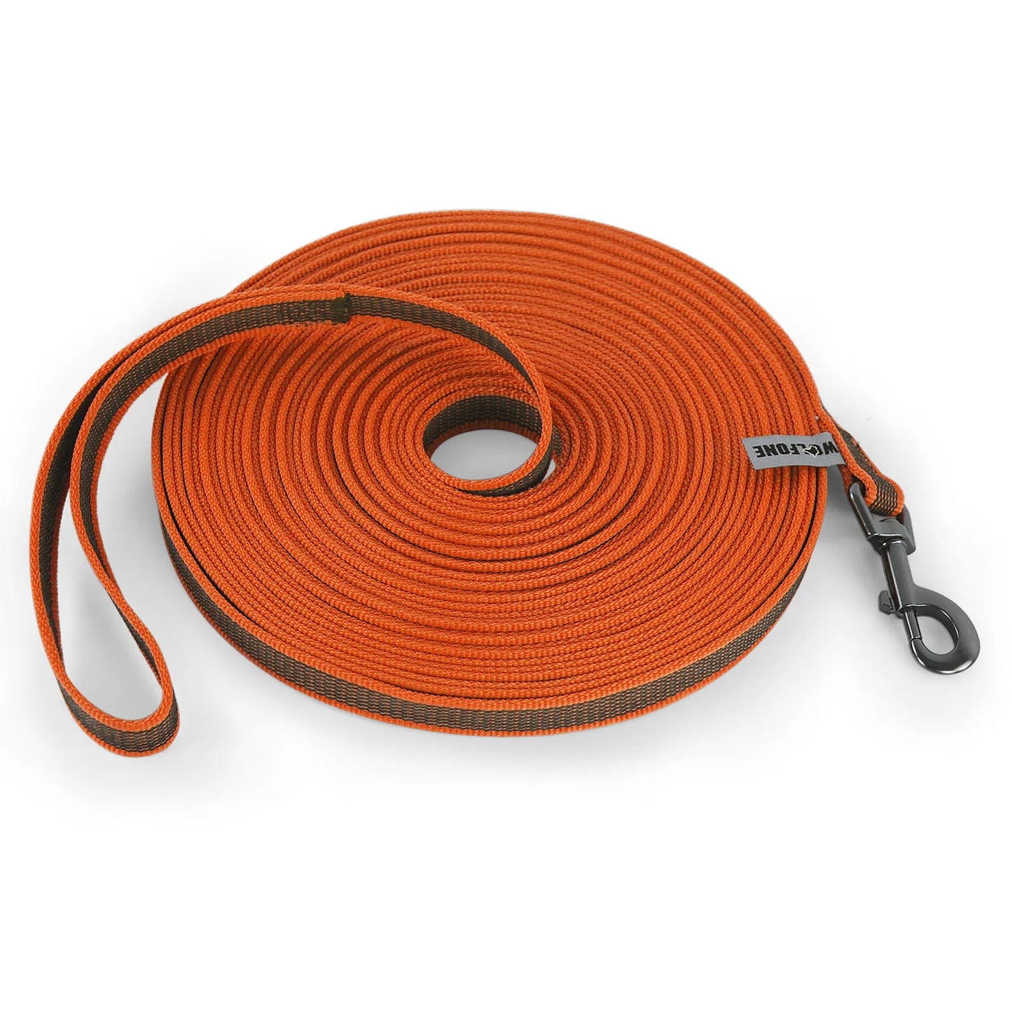 Long Dog Leash for Training