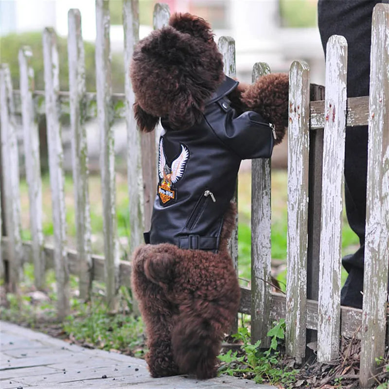 Eagle Pattern Dog Leather Jacket