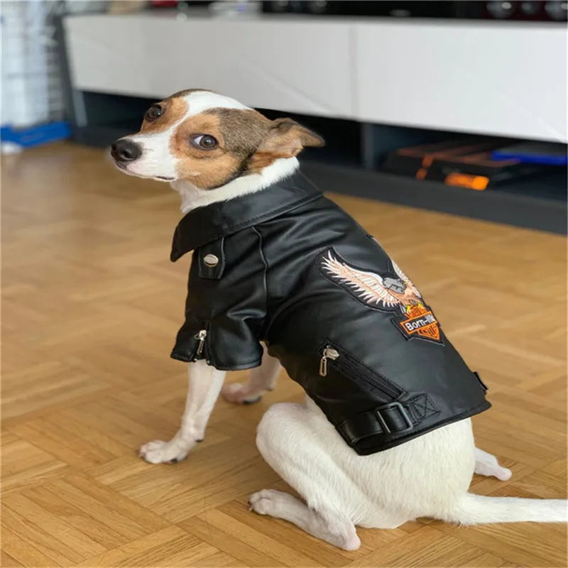 Eagle Pattern Dog Leather Jacket