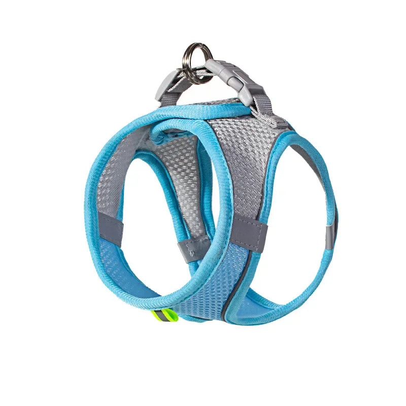 Dog Harness Set