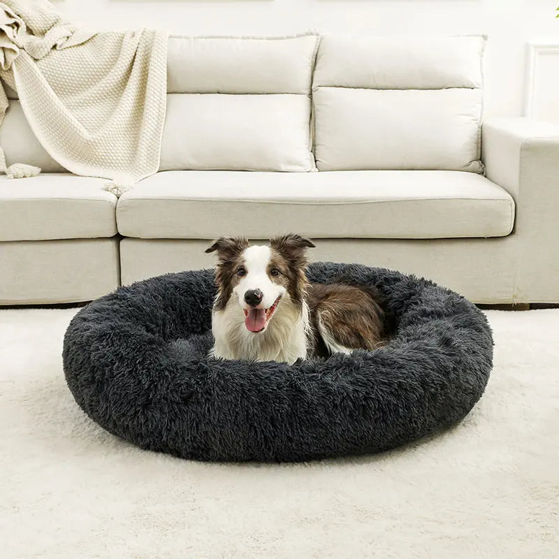 Round Dog Bed & Cat House