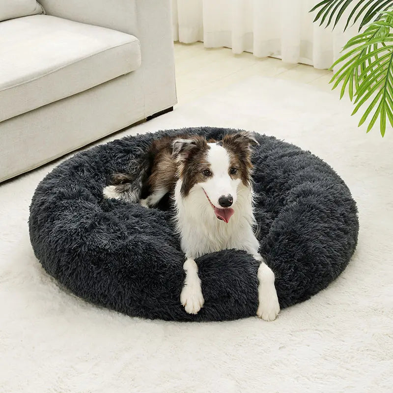 Round Dog Bed & Cat House