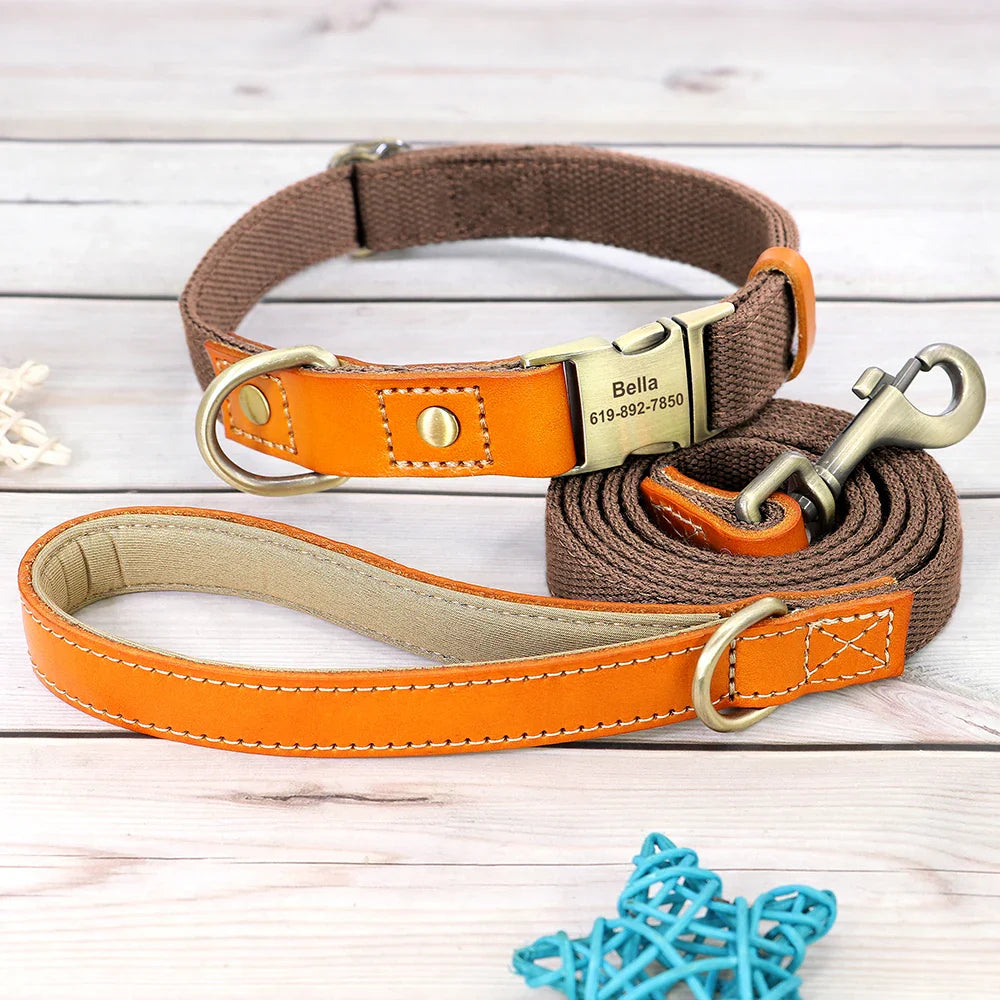 Custom Nylon Dog Collar & Leash