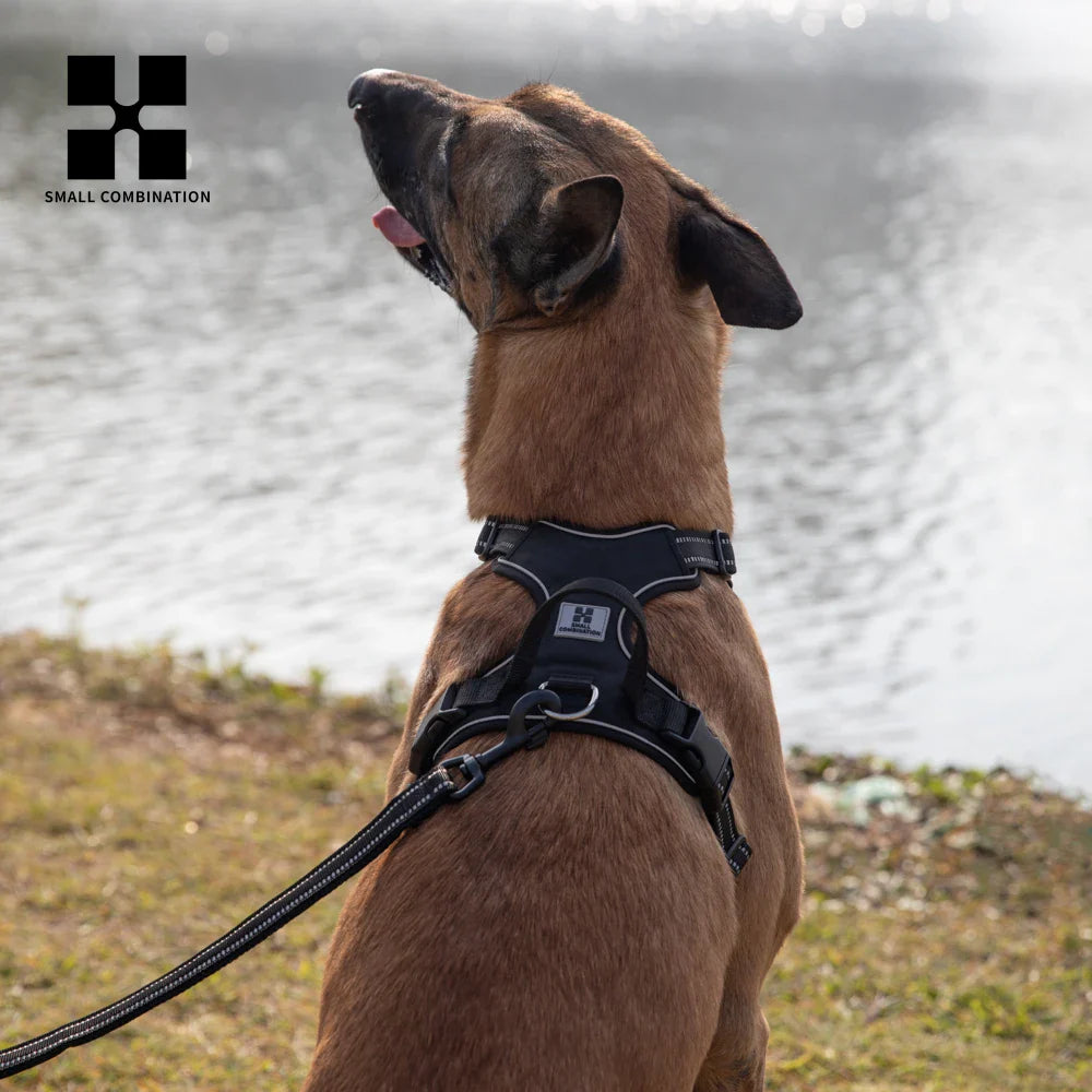 Personalized No-Pull Dog Harness