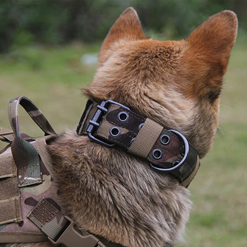 Adjustable Reflective Dog Collar