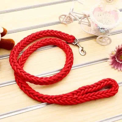 Heavy-Duty Nylon Dog Leash
