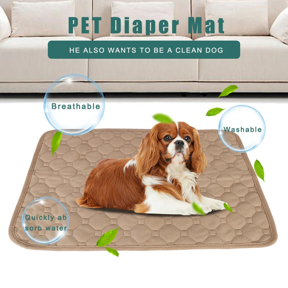 Washable Dog Training Pad