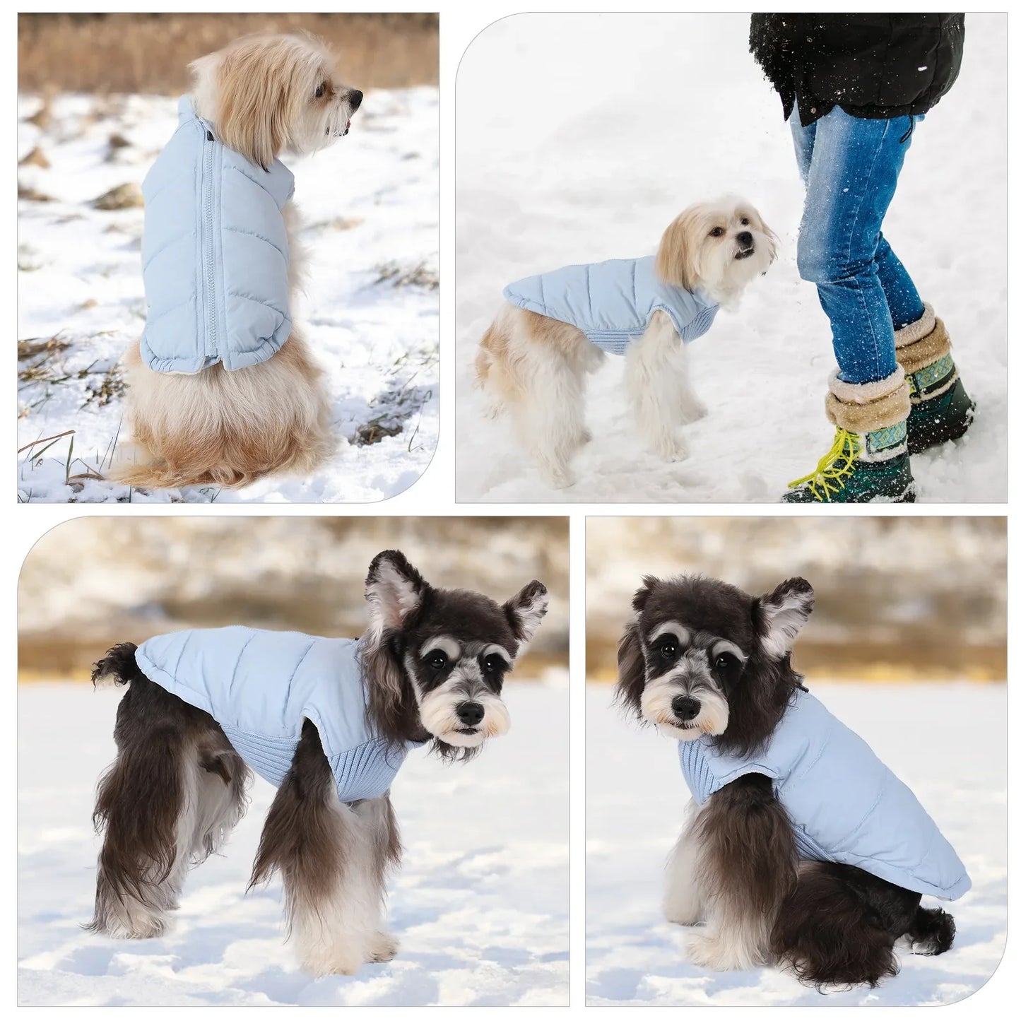 Winter Dog Jacket