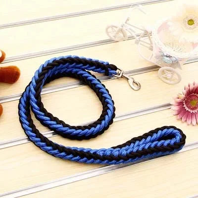 Heavy-Duty Nylon Dog Leash